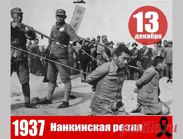 Кровавые сакуры господина Сокурова