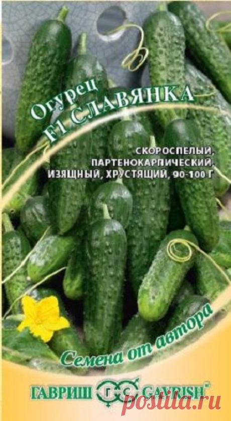 Огурец "Славянка F1", партенокарпический