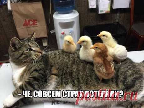 -:)