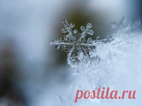 Обряды с первым снегом: на удачу, деньги и здоровье Снег — это не только признак наступающей зимы, но и символ очищения, освобождения и здоровья. Испокон веков первый снег использовали в обрядовых ритуалах для достижения благополучия и освобождения от проблем.