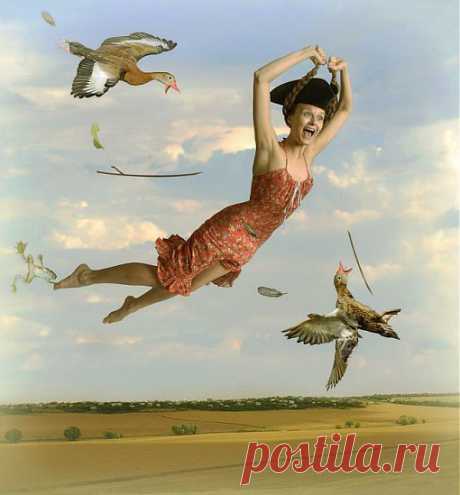 Лягушка - путешественница...