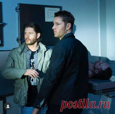 Следопыт (сериал 2024)