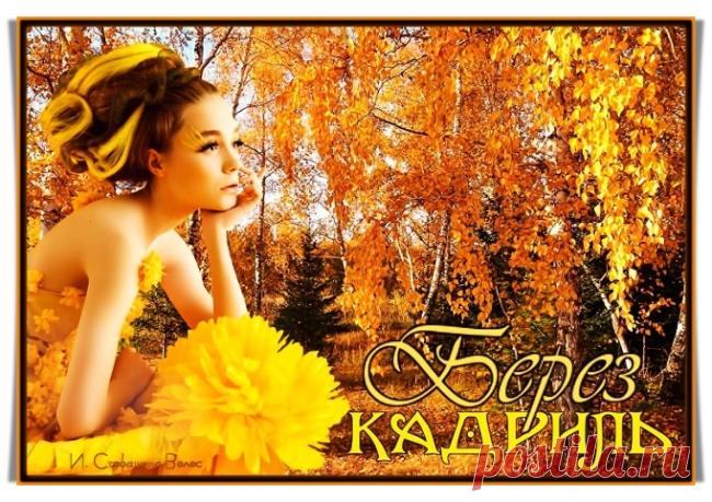 Кадиль берёз - обсуждение произведений современной поэзии и прозы Кадиль берёз - Клуб любителей современной прозы и поэзии