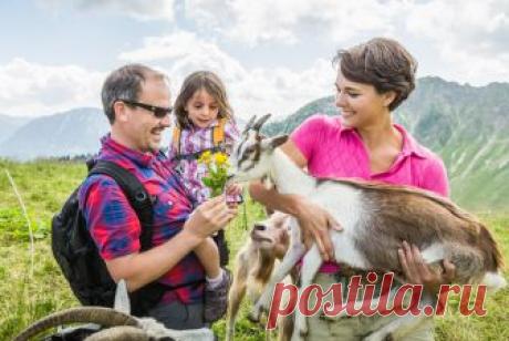 Фото животных красивые - Woman's Day