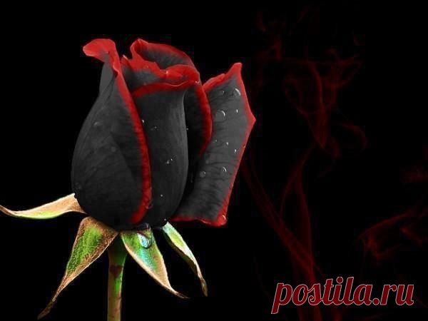 Галина Шаталова - Москва, Россия, 76 лет на Мой Мир@Mail.ru