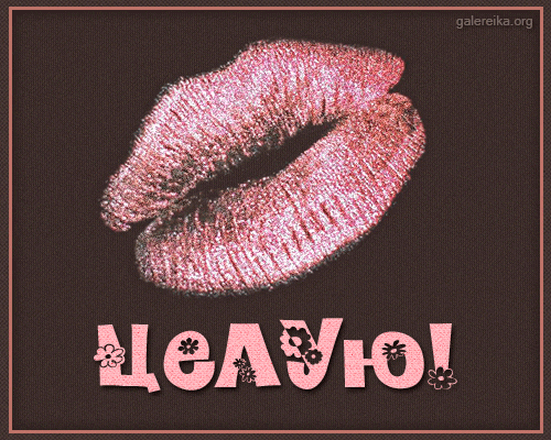 7162800.gif (500×400)