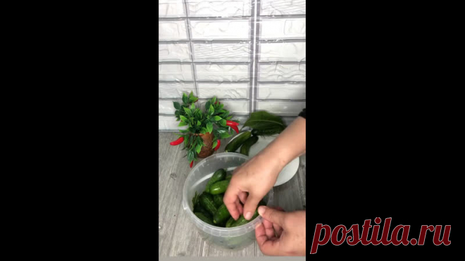 Сегодня хочу поделиться рецептом
малосольных огурцов холодным способом
Нам понадобится:
Огурцы -2,5кг
Укроп зонтик-2шт
Листья хрена-1шт.
Чеснок5-6 зубчиков.
Листья смородины-7-8шт.
Перец горошек 8-9шт.
Перец горькии‌-1шт.
Соль-2ст.л.
Вода холодная один литр.