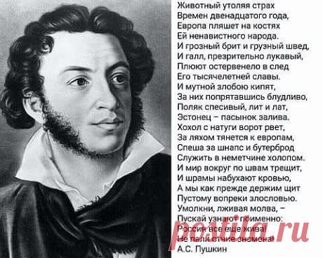 (48) Одноклассники