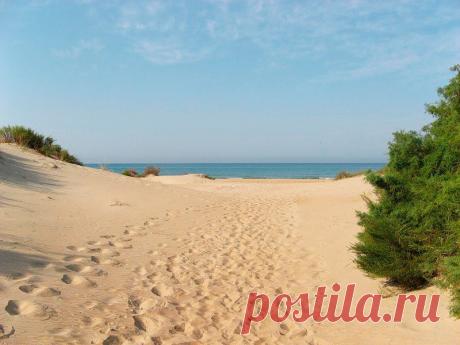 Песчаные пляжи Краснодарского края для отдыха с детьми - Доска объявлений Краснодарского края | kuban-biznes.ru