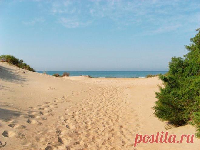 Песчаные пляжи Краснодарского края для отдыха с детьми - Доска объявлений Краснодарского края | kuban-biznes.ru