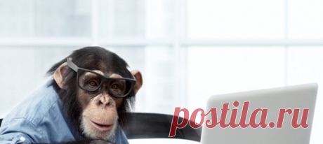 Илон Маск активно развивает свой очередной высокотехнологичный проект — Neuralink. Бизнесмен преследует одну цель – добиться получения эффективно работающего интерфейса мозг-компьютер. Это позволит человеку управлять машинами силой мысли. Реализовано это будет через вживляемые в череп импланты Link. Технология подразумевает точечную регистрацию и стимуляцию определенных зон мозга. Обмен данными между машиной и мозгом будет осуществляться беспроводно. Фото d-cd.net Многие были впечатлены…