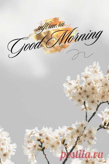 Оформление сторис. Идеи stories Good morning Фон для текста в Инстаграм | Красивый Stories фон Background. Оформление сторис доброе утро | Instagram Story Good morning | Идеи и фоны для сторис Инстаграм. Оригинальные обои для сторис и оформления Инстаграм. Оформление сториз Instagram доброе утро. Оригинальные фоны для текстов Инстаграм. #инстаграм_идеи #доброе_утро #фоны_сторис #сторис #инстаграм_идеи #сторис_инстаграм #оформление_сторис