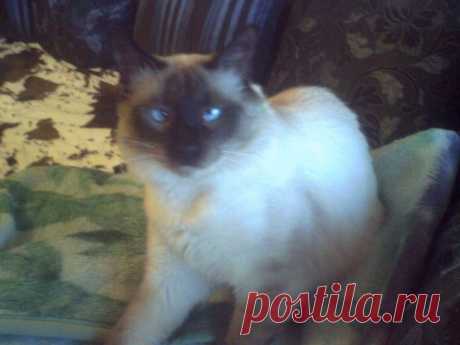 Одноклассники