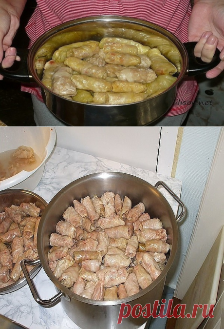 10 самых вкусных рецептов голубцов - обязательно сохраните!
