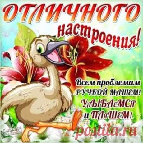 (5) Pinterest