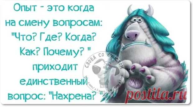 Прикольные фразочки в картинках - Смехотерапия - медиаплатформа МирТесен