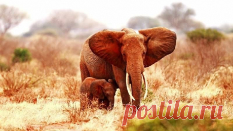 Мой Мир@Mail.Ru