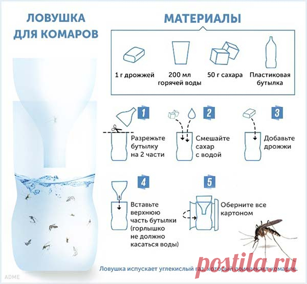 10 хитростей против комаров
