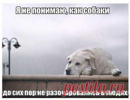 Злые мысли человечества