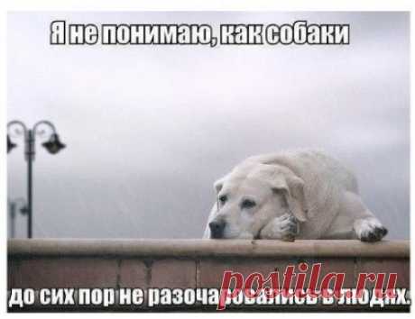 Злые мысли человечества