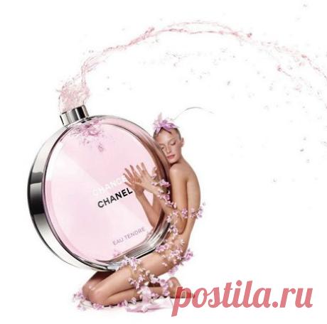 Euphoria Collection № 15 Chance Eau Tendre Chanel
