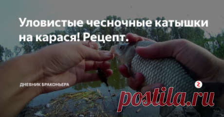 Уловистые чесночные катышки на карася! Рецепт.
Чесночные катышки по рецепту из интернета, действительно отлично показывают себя на рыбалке. Сейчас я имею оригинальный рецепт из интернета и еще один от поволжских рыбаков.