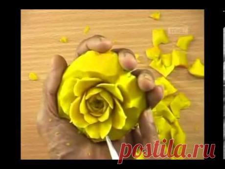 Hướng Dẫn Tỉa Hoa Khối