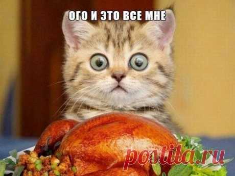 Сохранённые фотографии | 133 фотографии