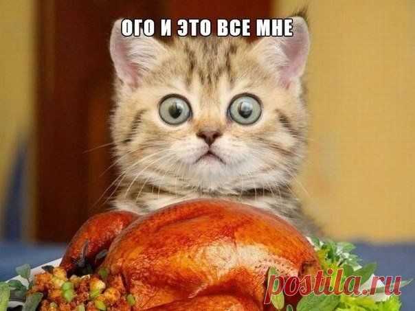 Сохранённые фотографии | 133 фотографии