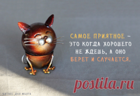 Фитнес для мозга - Главная