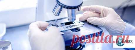 Отзыв/транзит/возврат, перевозка в сосуде Дьюара, услуги в случае возврата препаратов из центров | Medex