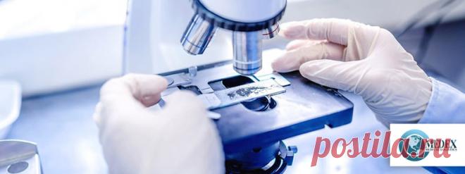 Отзыв/транзит/возврат, перевозка в сосуде Дьюара, услуги в случае возврата препаратов из центров | Medex