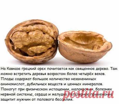 Чем нам так полезны орехи