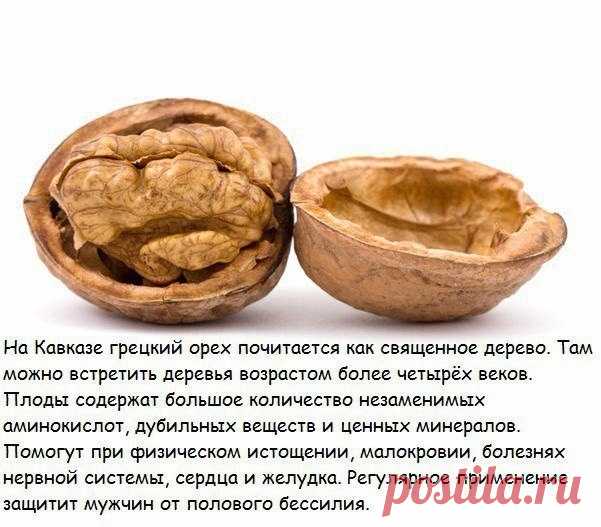 Чем нам так полезны орехи