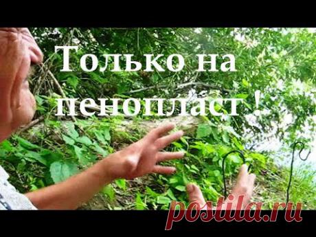 Шесть лет рыбачу на пенопласт