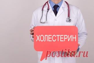 Холестерин: нормы, снижение, лечение Как часто сдавать анализы, при каких показателях беспокоиться и что делать, если холестерин в крови неуклонно растет