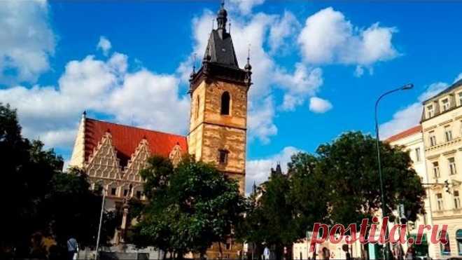 Novoměstská radnice, Praha 11 06 2016 Alexandr Stein