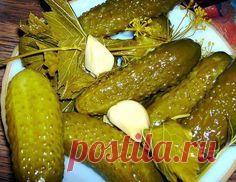 Хрустящие огурчики — очень необычный рецепт приготовления!