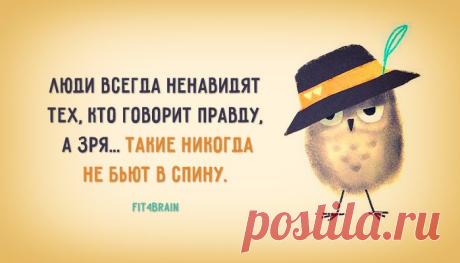 Правило жизни.