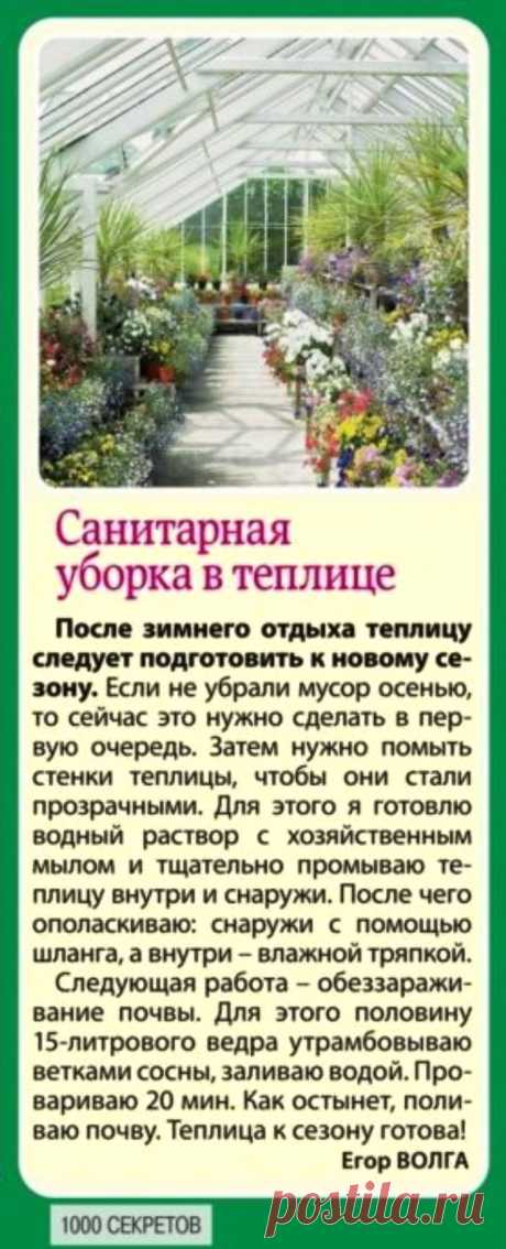 Санитарная уборка в теплице