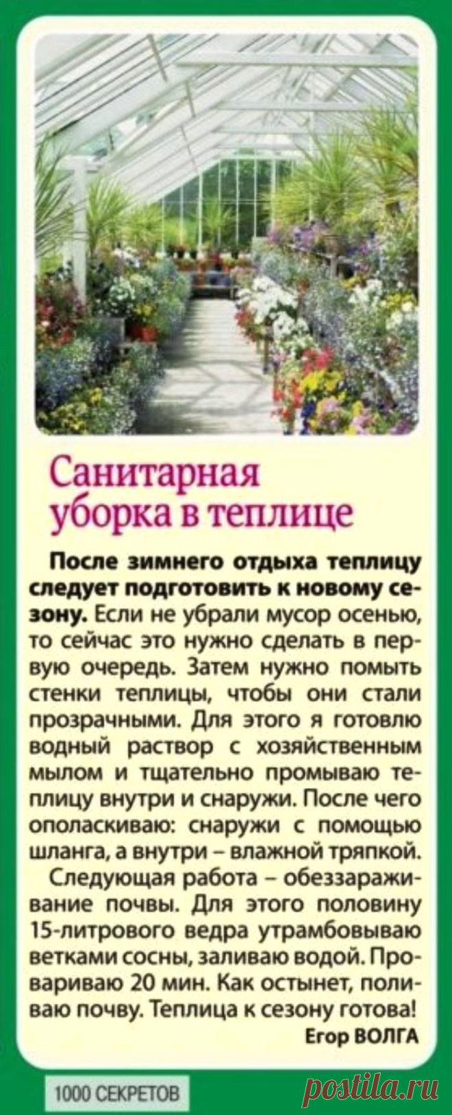 Санитарная уборка в теплице