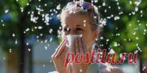 Аллергия на тополиный пух
Очень просто перепутать простуду с аллергией на тополиный пух, которую непременно нужно лечить. Ведь если запустить ее, можно получить более серьезные воспаления дыхательных путей.

Немного статистики

Данному недугу, на сегодняшний день, подвержена немалая часть жителей нашей планеты. Каждый четвертый человек испытывает неудобства с приходом теплого летнего сезона.