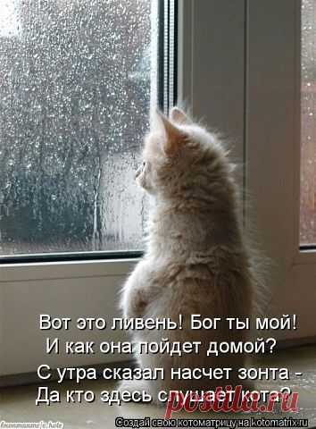 Мой Мир@Mail.Ru