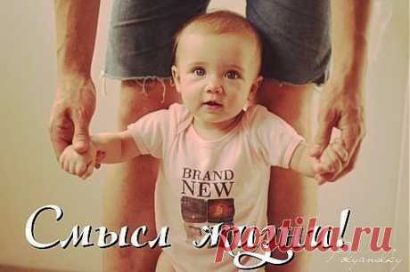 Смысл жизни!