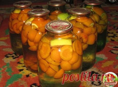 Абрикосовый компот со вкусом фанты 
Трех литровую стеклянную банку наполнить на одну треть абрикосами без косточек. 
В банку добавить 1/3 часть апельсина разрезанную на дольки. 
Сюда же 300 г сахара и чайную ложку лимонки. 
Банку залить кипятком и закатать. Укутать до полного остывания. 
Вкус приготовленного таким образом компота будет 
напоминать фанту.