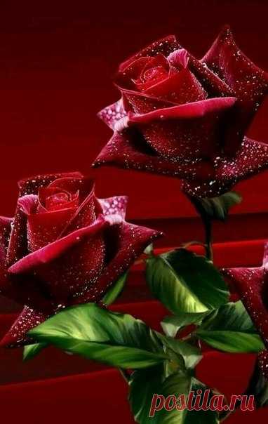 Всем желаю только счастья 😘😘😘!!!