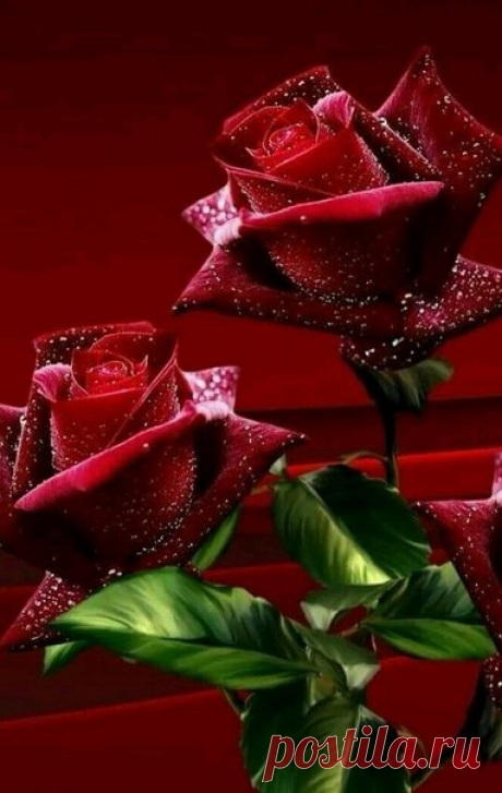 Всем желаю только счастья 😘😘😘!!!