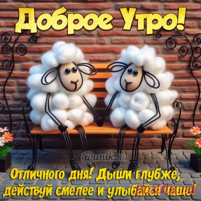 с добрым утром картинки красивые с пожеланиями