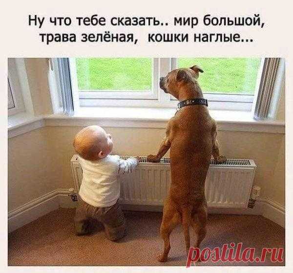 Во саду ли, в огороде