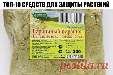 ТОП-10 СРЕДСТВ ДЛЯ ЗАЩИТЫ РАСТЕНИЙ
1. Дегтярное и серно-дегтярное мыло хорошо добавлять в отвары и настои трав против вредителей и болезней, т.к. обеспечивают хорошее прилипание и обладают свойствами отпугивать вредителей. Серно-дегтярное еще и неплохо действует на грушевую галлицу, если она только-только появилась.
2. Йод аптечный – отличное средство для опрыскивания земляники перед цветением. Он способствует активному росту земляники и защищает ее от болезней. Рецепт рас...